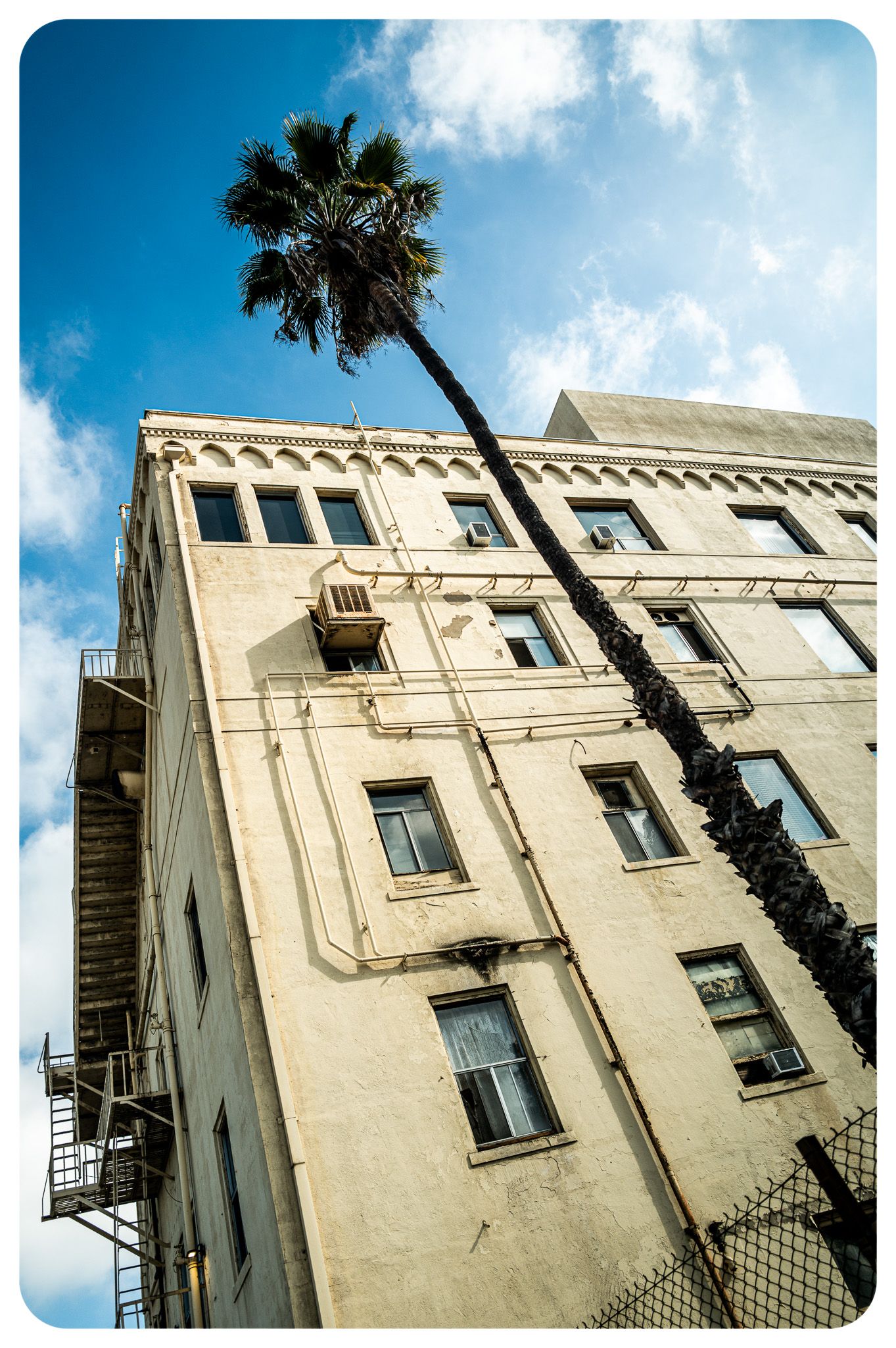Low-angle view of a vintage multi-story building with a tall palm tree against a cloudy sky.