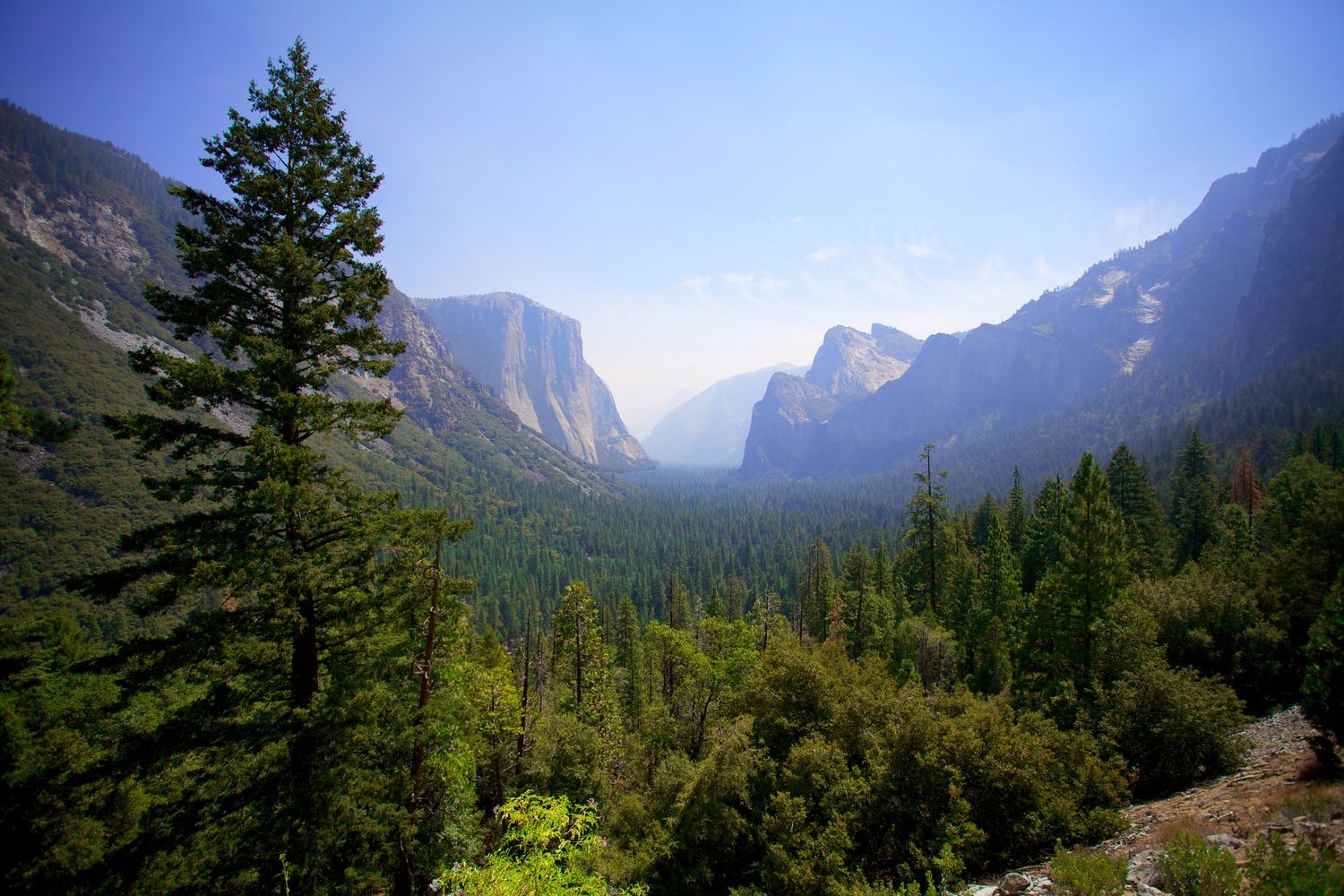 Panoramic view of Yosemite Valley with towering granite cliffs, lush evergreen forest, and misty mountains under a clear blue sky.