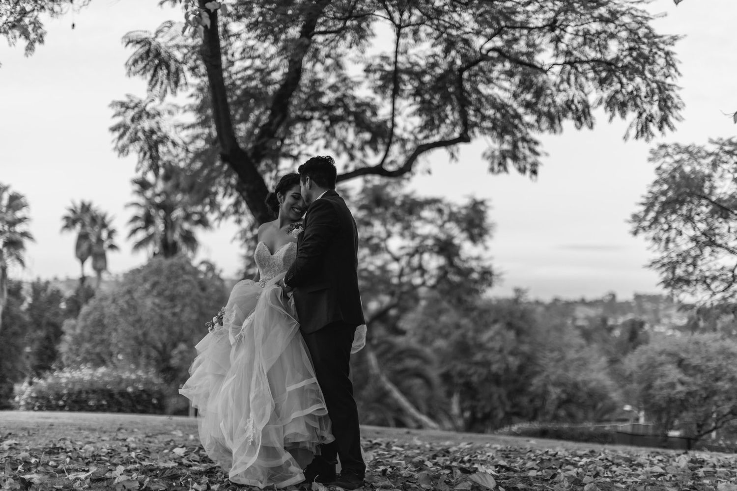 Black and white photo of a bride and groom sharing a romantic moment under a tree with a scenic backdrop.
