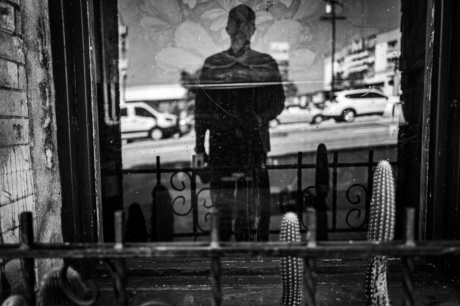 Black and white photo of a person's reflection in a storefront window with cacti and city street visible.