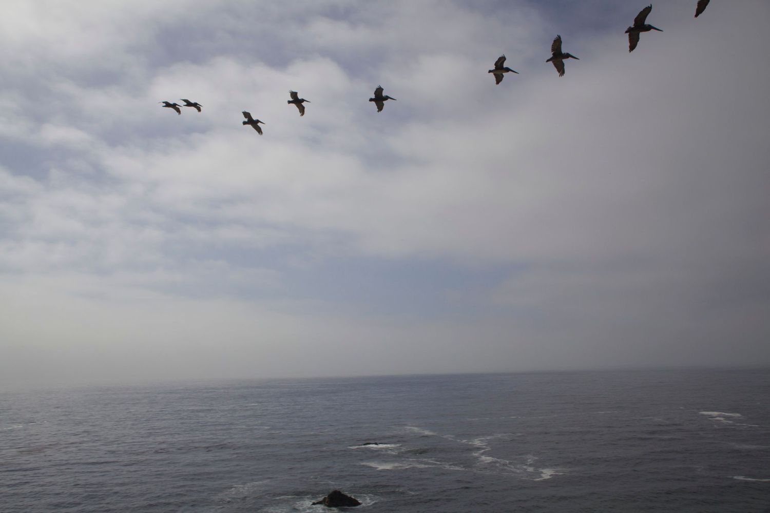 Pelicans glide in a diagonal formation above the vast Pacific Ocean on an overcast coastal day.