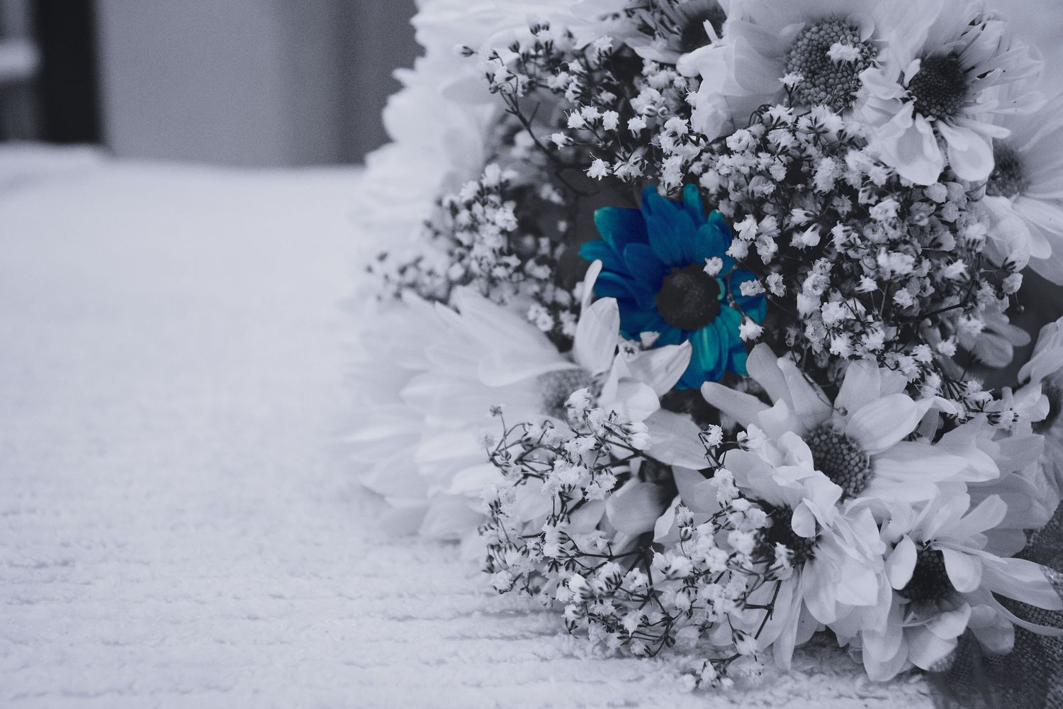 Selective color bouquet featuring a single blue flower among white blooms on a snowy surface.