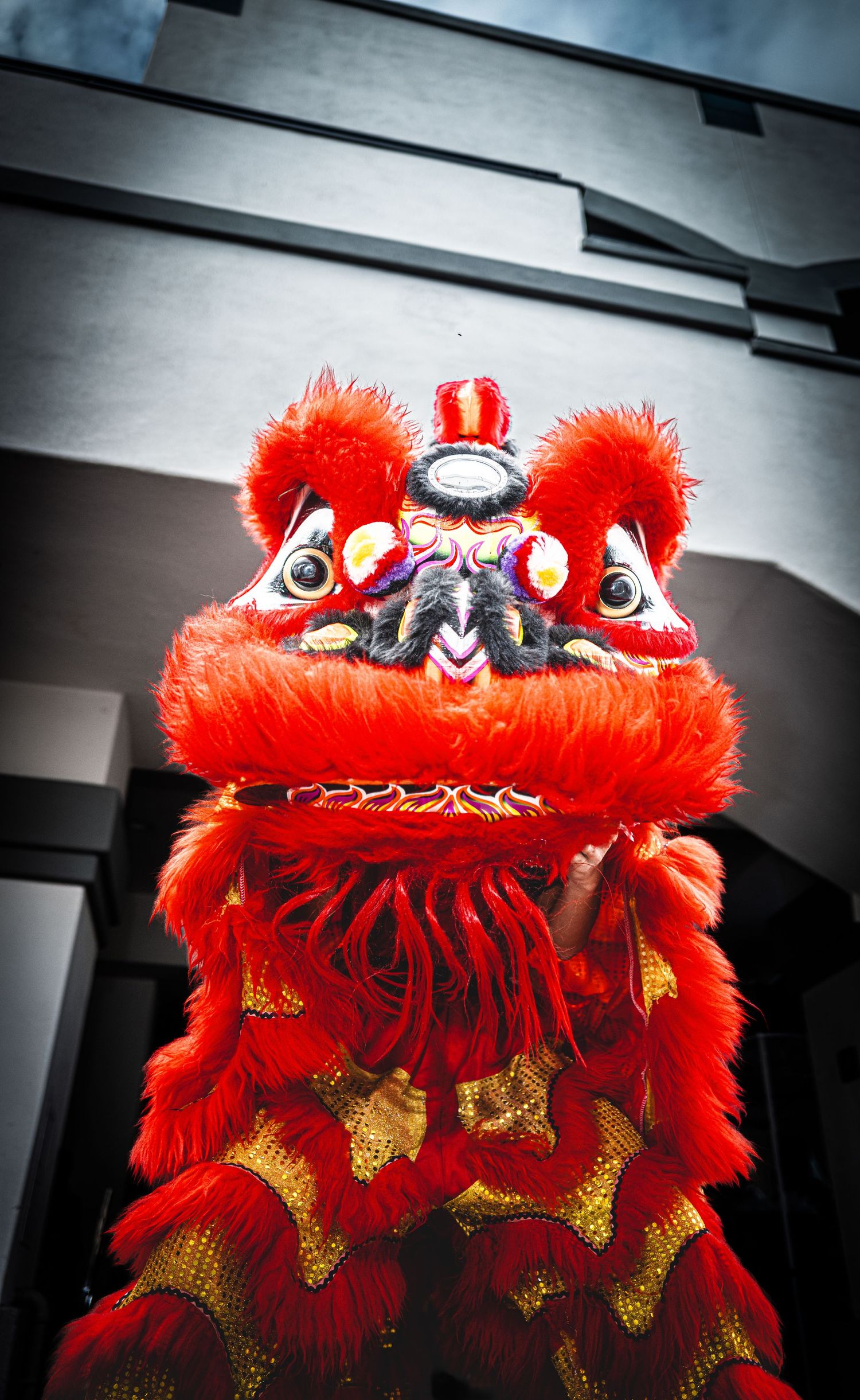 Red and gold Chinese lion dance costume with furry mane and ornate decorated head, performing outside a modern building.