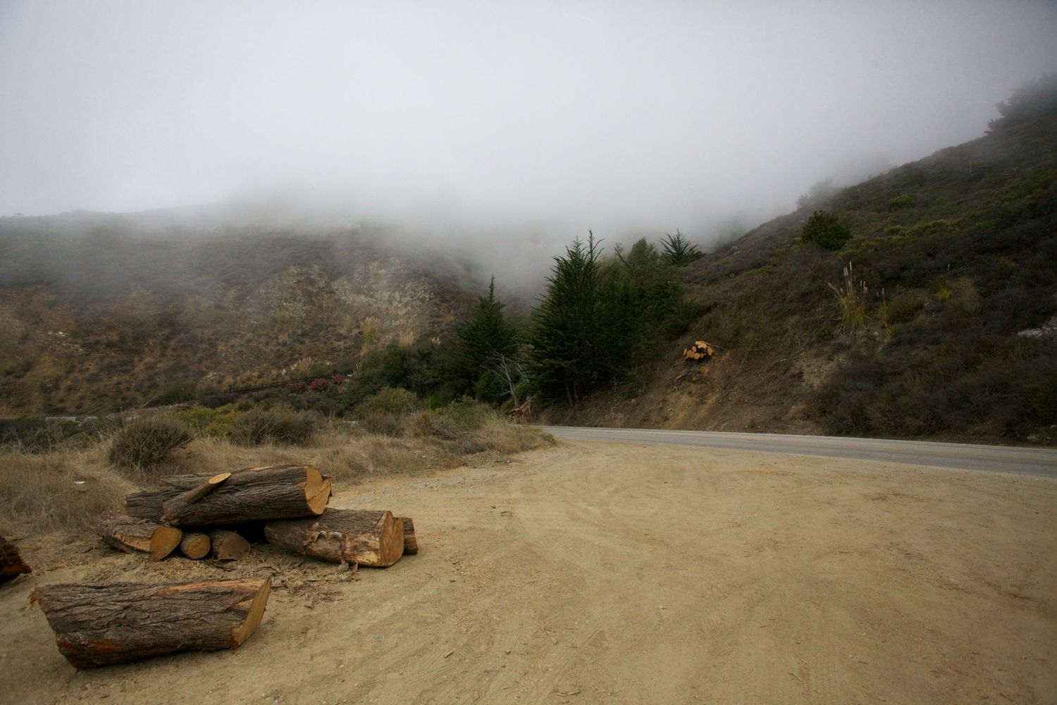 Foggy coastal highway with cut logs on sandy roadside, misty hills and evergreen trees in background.
