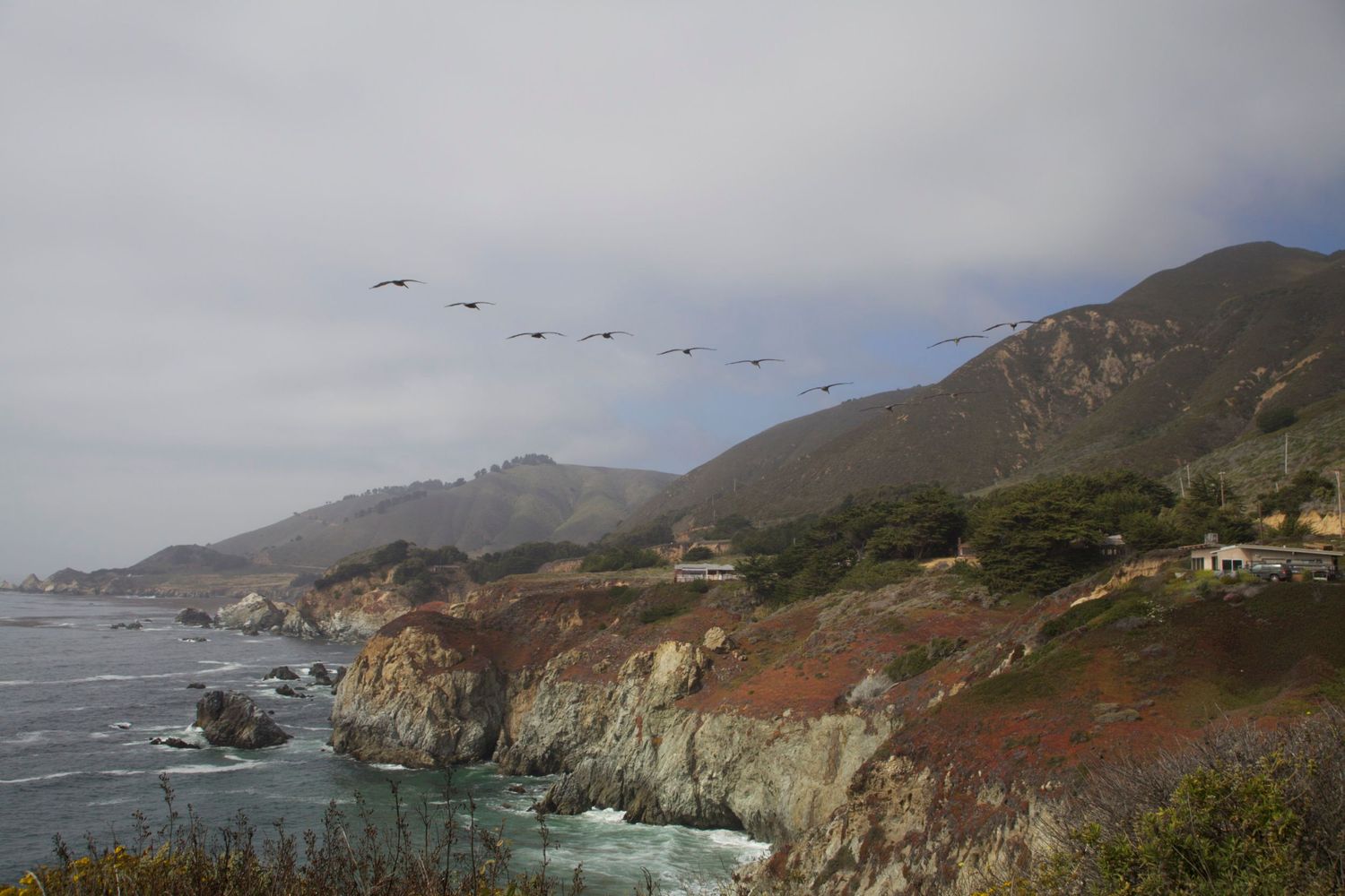 Pelicans fly in formation over the rugged Big Sur coastline with dramatic cliffs and misty mountains in California.