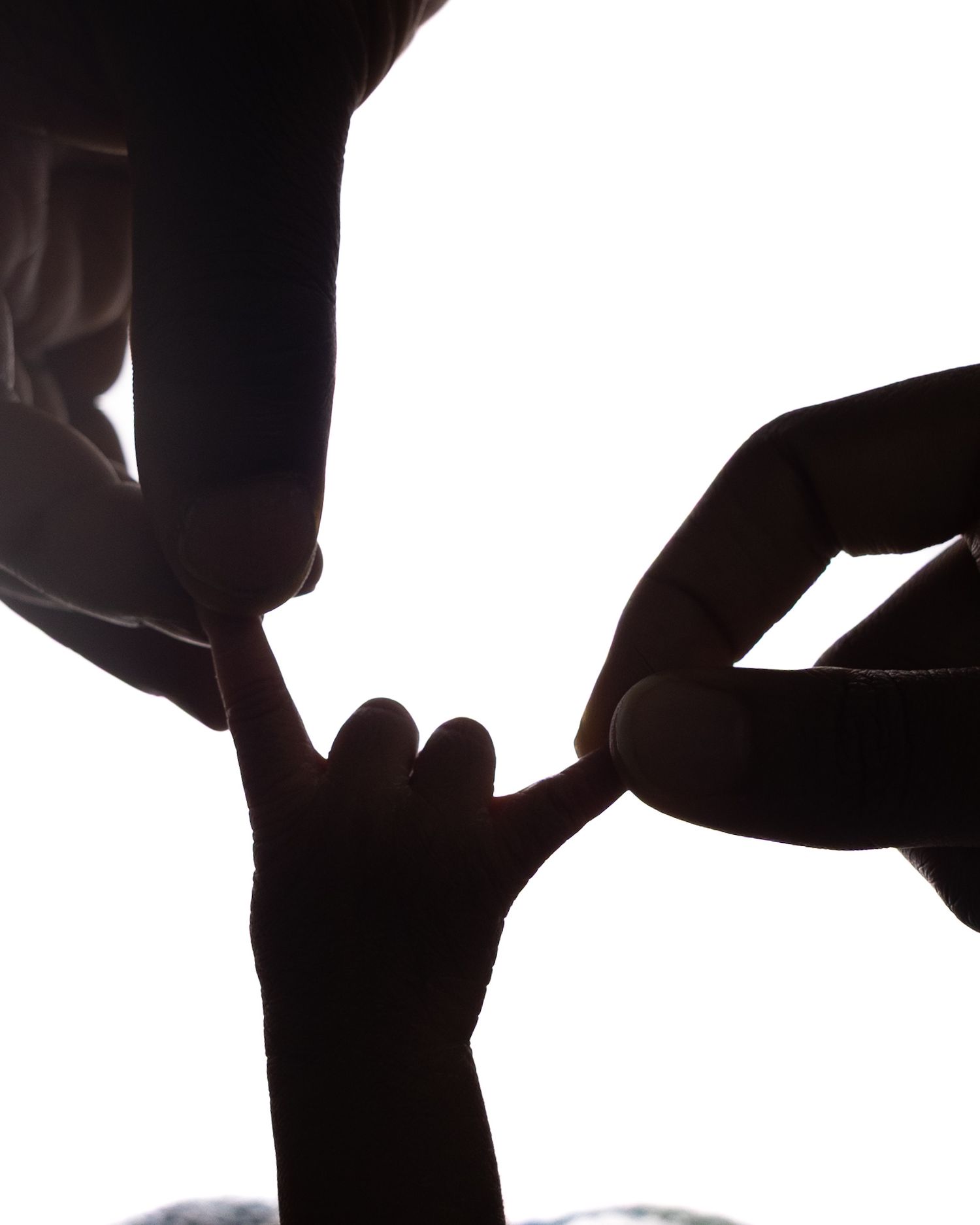 Silhouette of adult hands gently holding a tiny baby finger against bright white background.