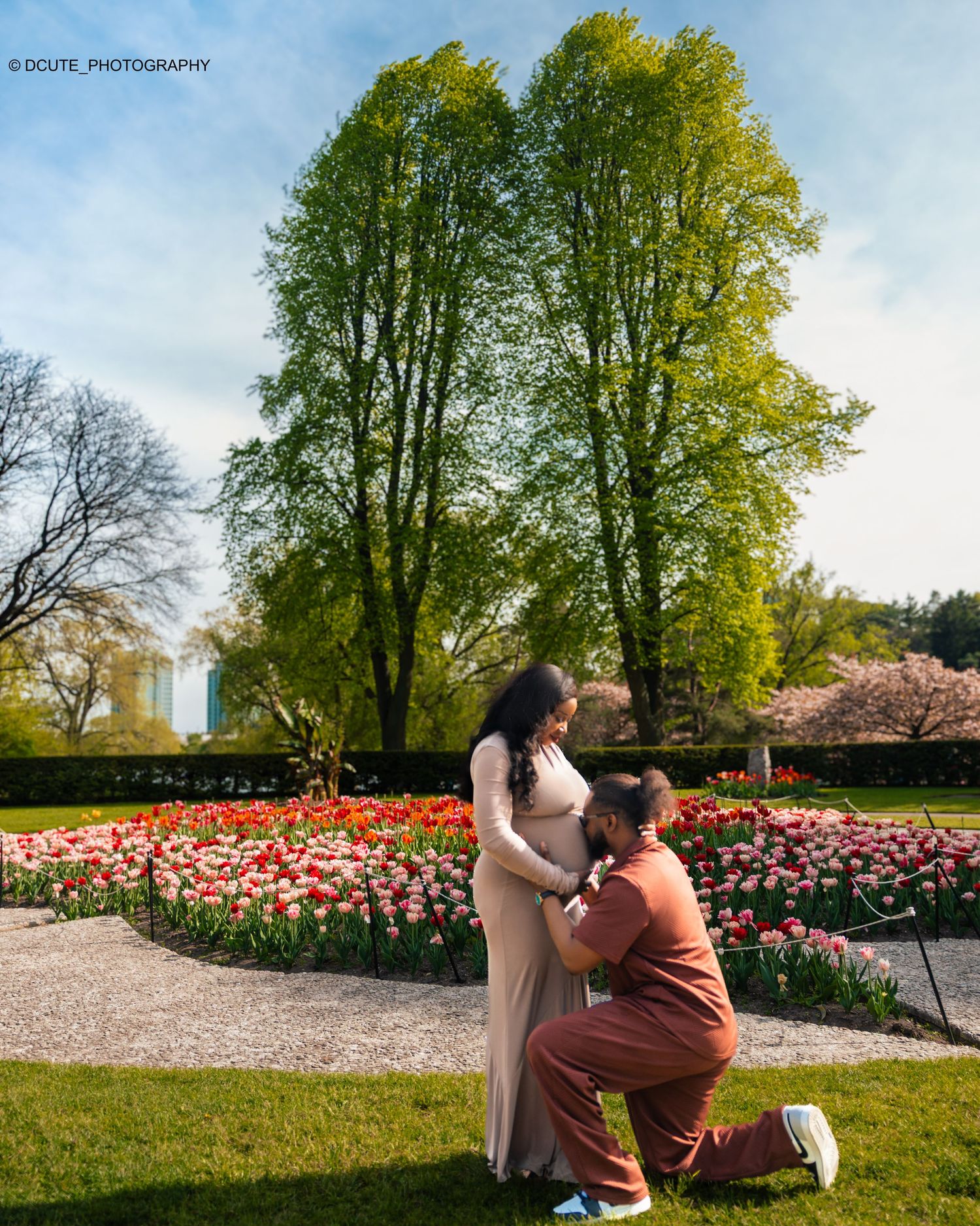 Couple maternity photo in garden with tulips, man kneeling beside pregnant woman in beige gown in couples maternity session toronto