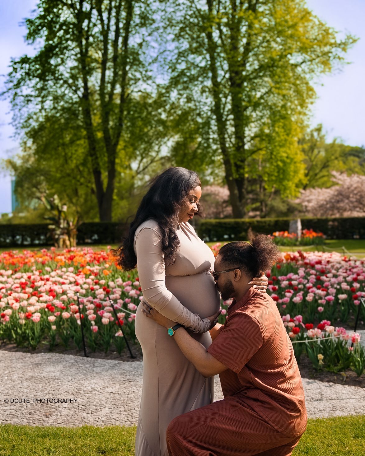 Expectant couple in a tulip garden, partner kneeling to kiss pregnant woman's baby bump in a maternity photoshoot session in toronto