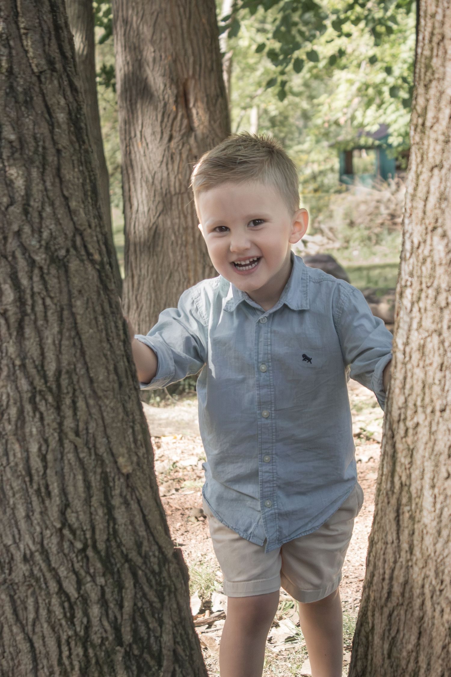 Happy toddler in a blue shirt smiling between two tree trunks during a playful outdoor milestone photography session.