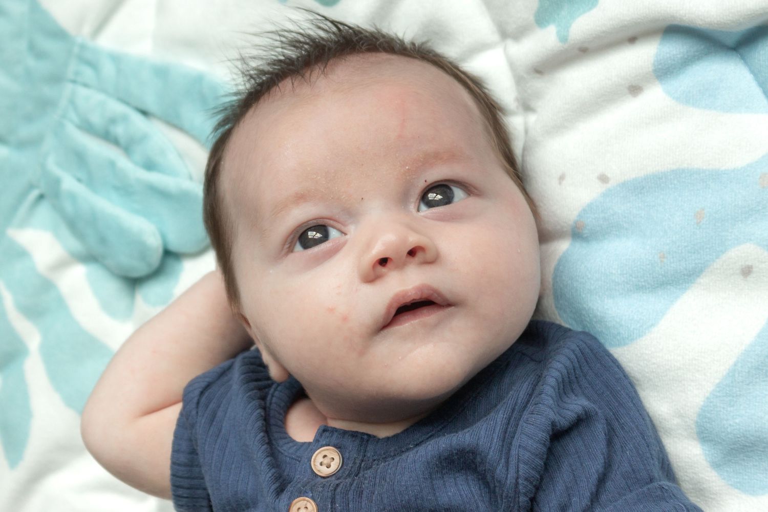 Baby in a navy blue outfit lying on a soft blue blanket, looking up with wide eyes during an in-home baby milestone photo session.
