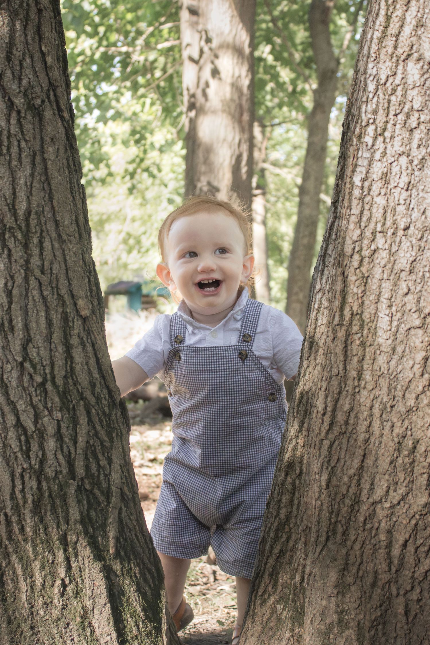 Smiling toddler in a blue outfit standing between two large tree trunks during a playful outdoor milestone photography session.
