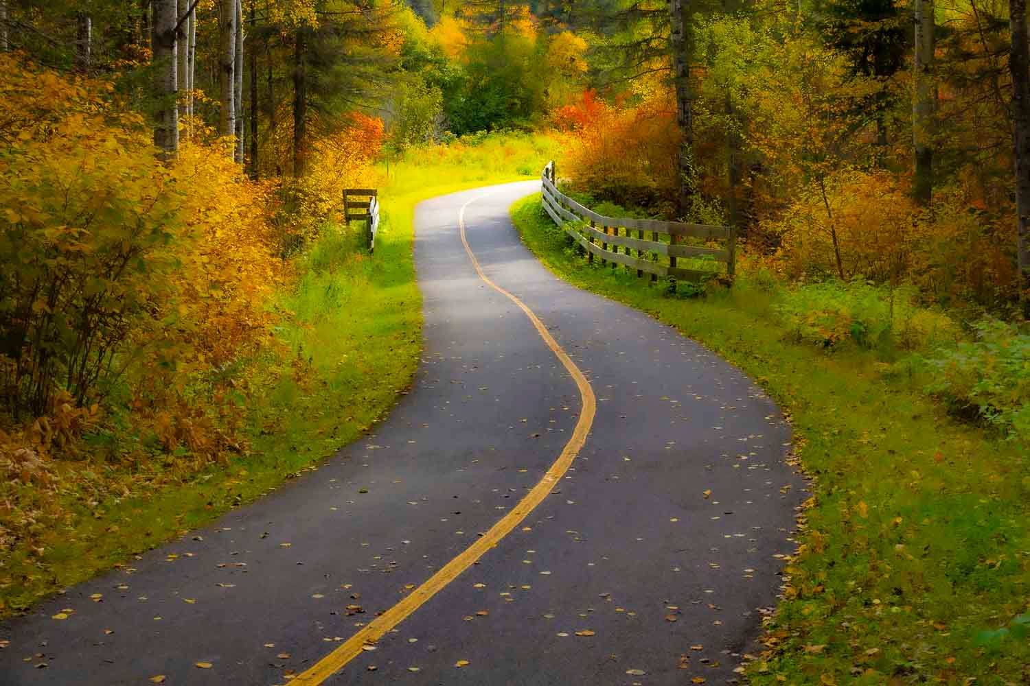 Rivière aux sables, Jonquière, Qc
Winding autumn road lined with colorful fall foliage and a wooden fence in a serene forest setting.