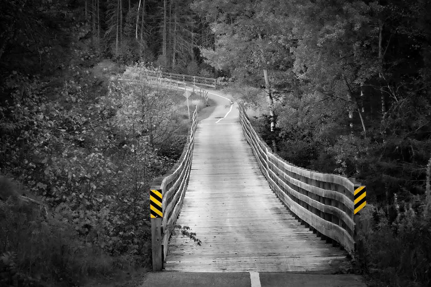 Pont.
Black and white photo of a narrow wooden bridge leading into a dense forest road.