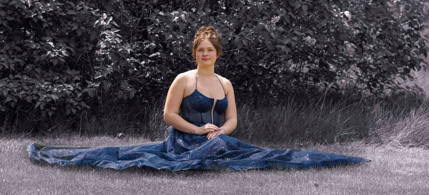 Woman in elegant blue gown sitting gracefully in a field with trees in the background in an artistic portrait.