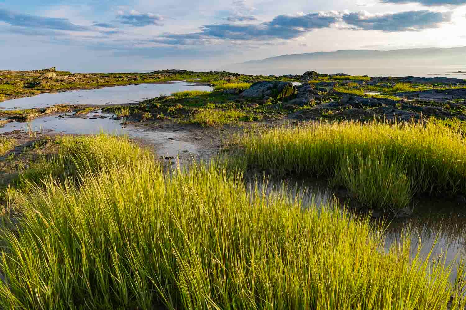 Foins à la marée basse
Québec, Canada
Lush green marsh grass surrounds a tranquil coastal wetland under a partly cloudy sky at golden hour.