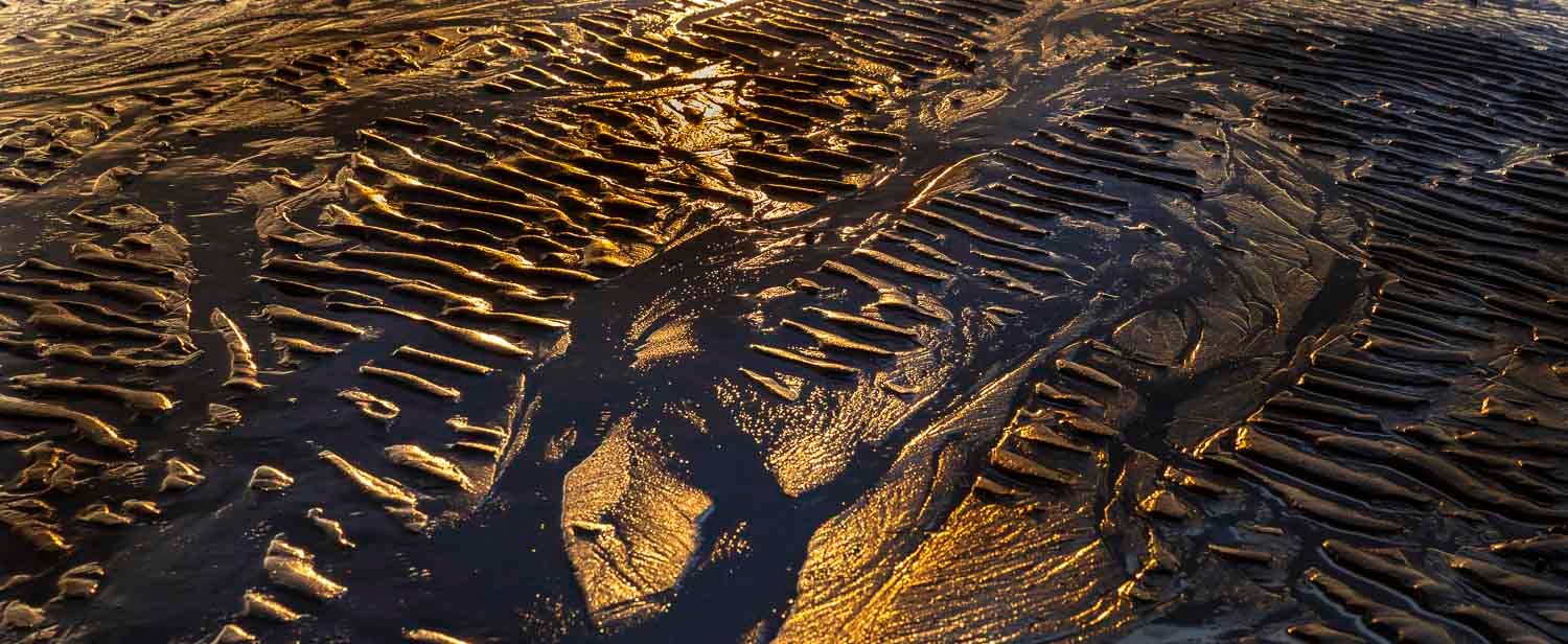 Dramatic aerial view of intricate golden wet sand ripple patterns and water channels at low tide.