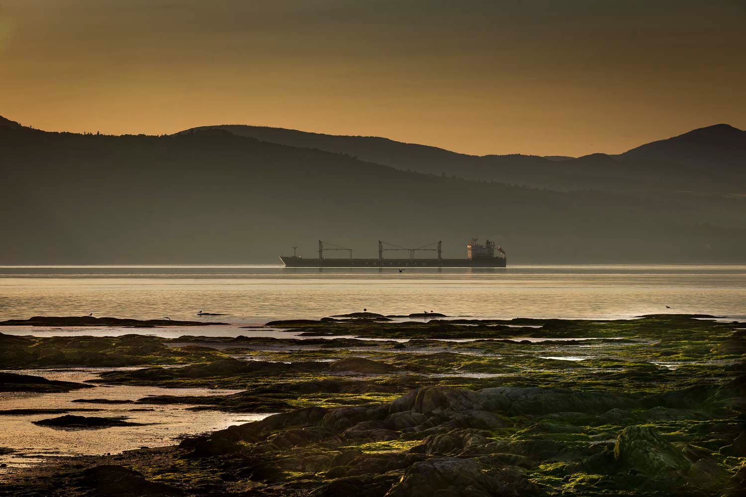 Bateau cargo sur le fleuve.
Large cargo ship sailing on calm golden waters at sunset with misty hills and rocky shoreline in the foreground.