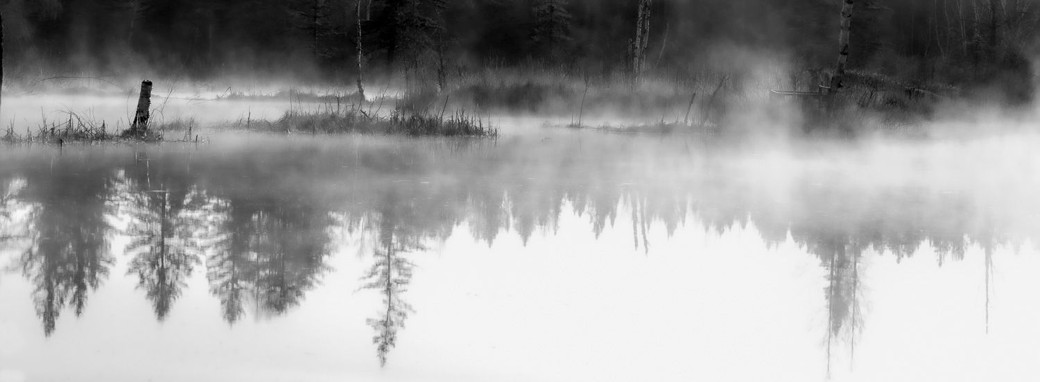 Misty black and white panoramic landscape with trees reflecting on a calm lake in dense morning fog.