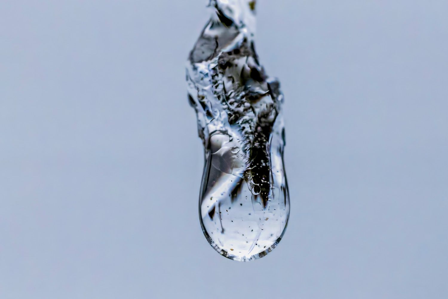 Close-up macro shot of a melting icicle tip with a large water droplet forming against a gray background.