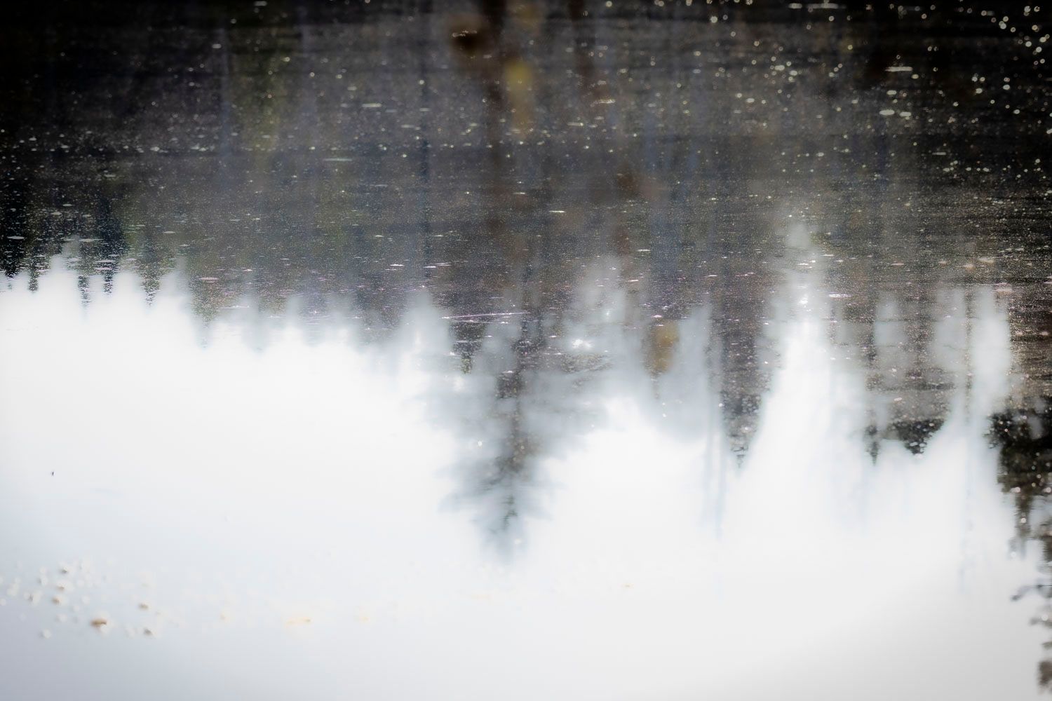 Blurry reflection of trees and buildings shimmering on a calm water surface creating an abstract natural scene.