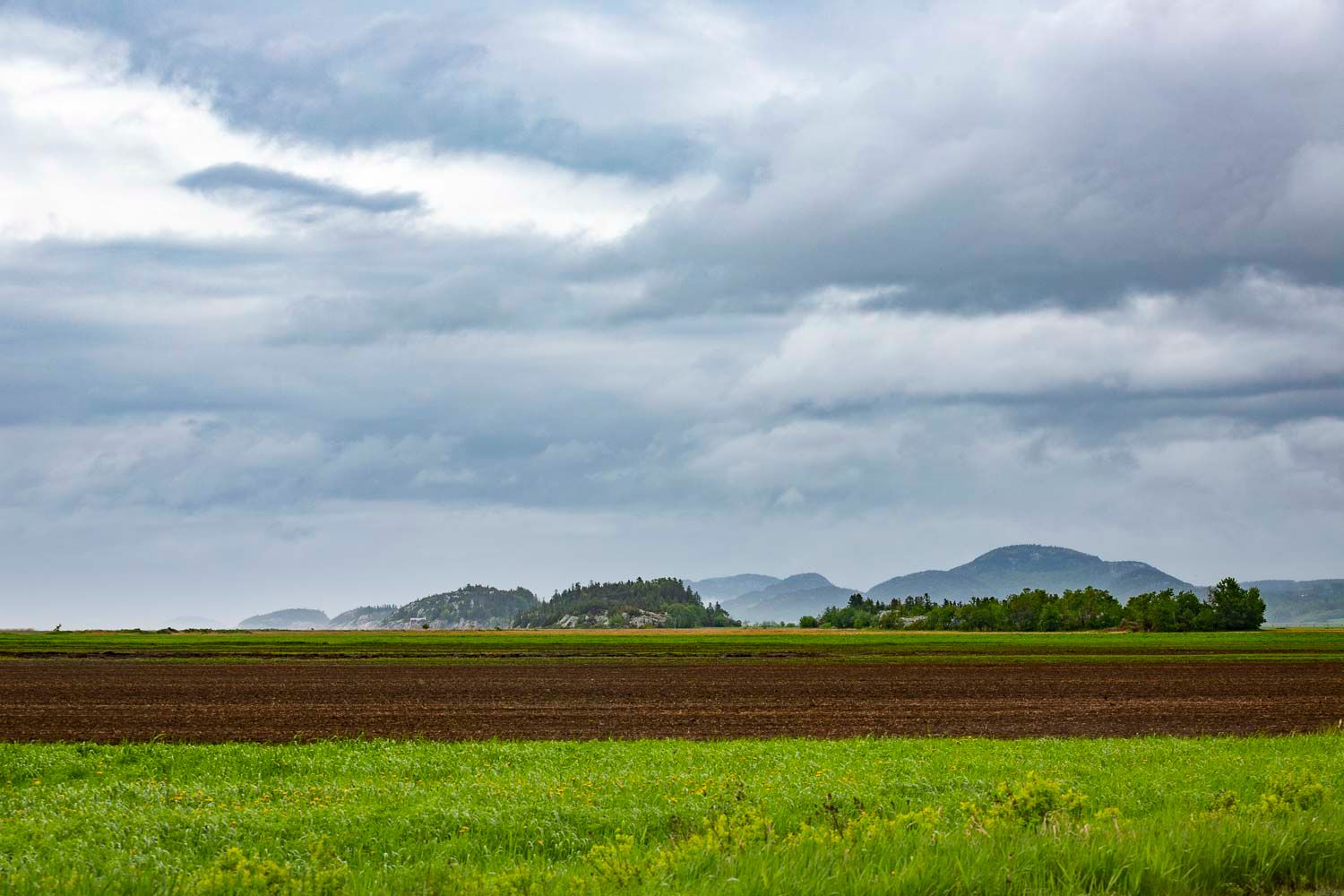 Green agricultural fields under dramatic stormy clouds with distant mountains on the horizon.