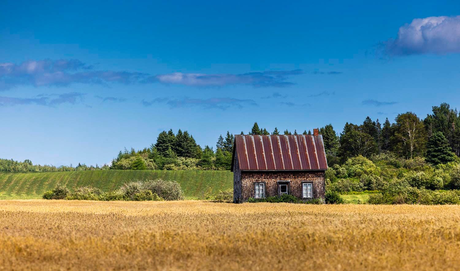 Isle-aux-coudres
Rustic abandoned farmhouse with red roof surrounded by golden wheat fields under a blue sky.