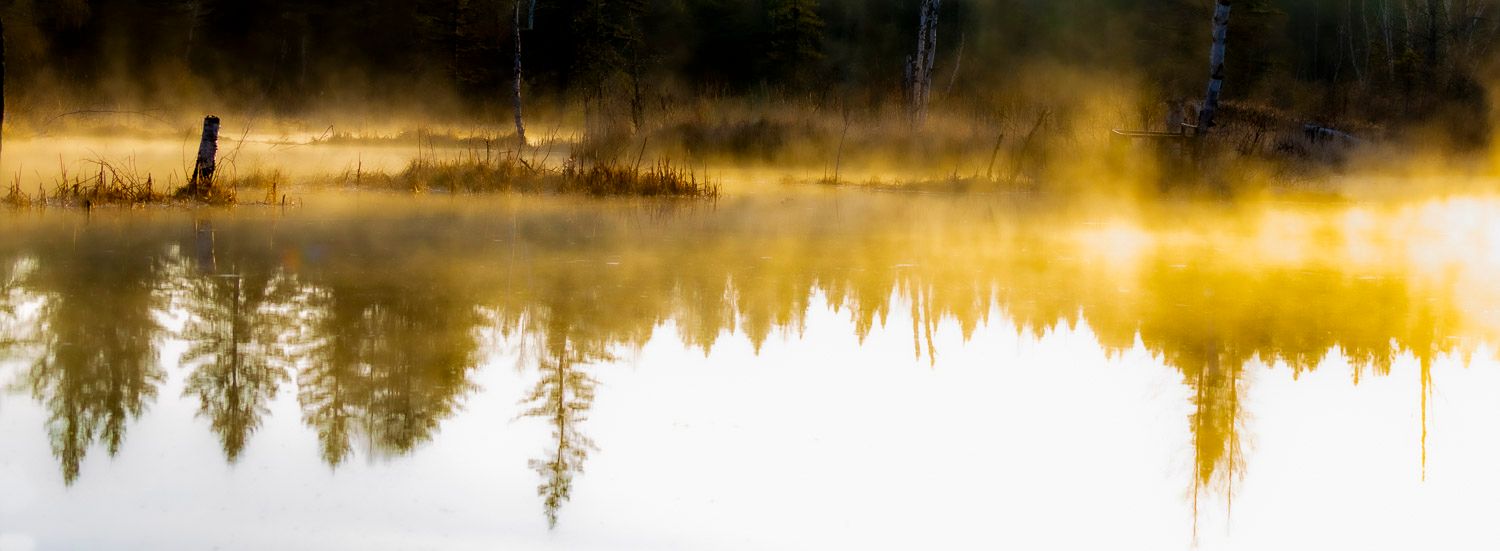Reflets du matin sur lac avec brume
Misty golden morning light reflects on a calm forest lake with silhouetted trees emerging from the fog.