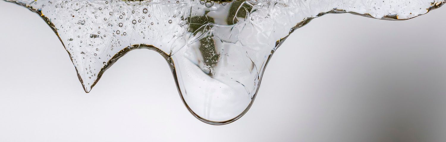 Glace, Glaçon
Close-up of melting ice with trapped grass and debris, dripping water droplets on a white background.