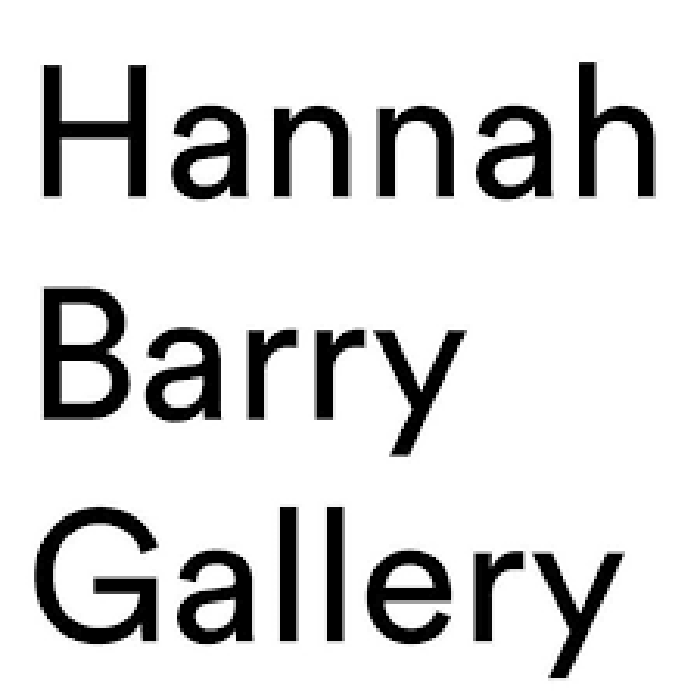 Clean typographic logo for Hannah Barry Gallery in modern sans-serif font.