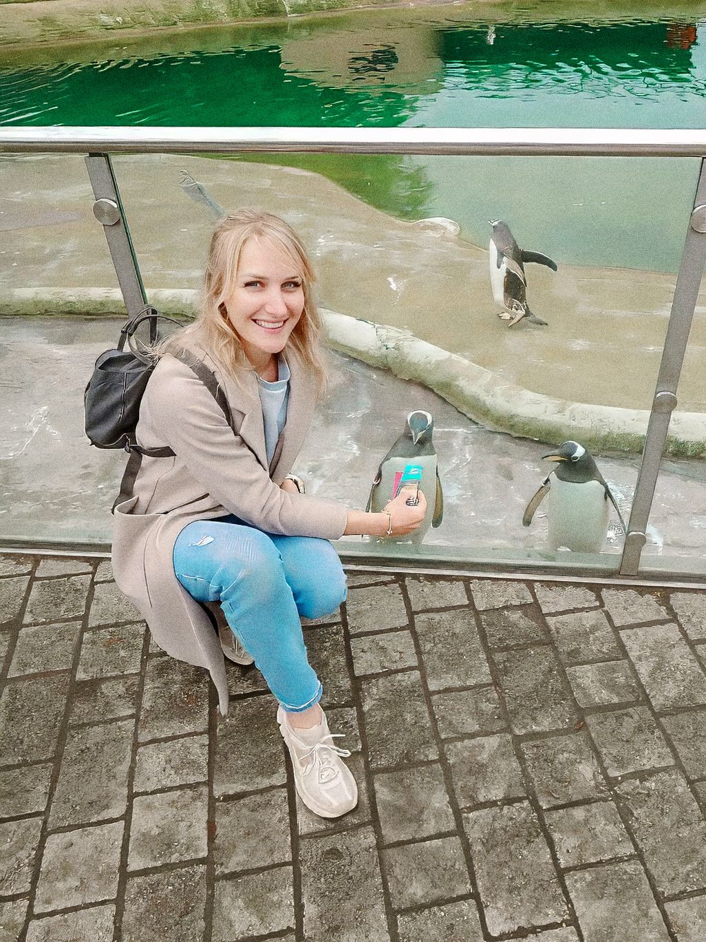 Moray and Aberdeenshire wedding photographer Beth Sutton feeding penguins