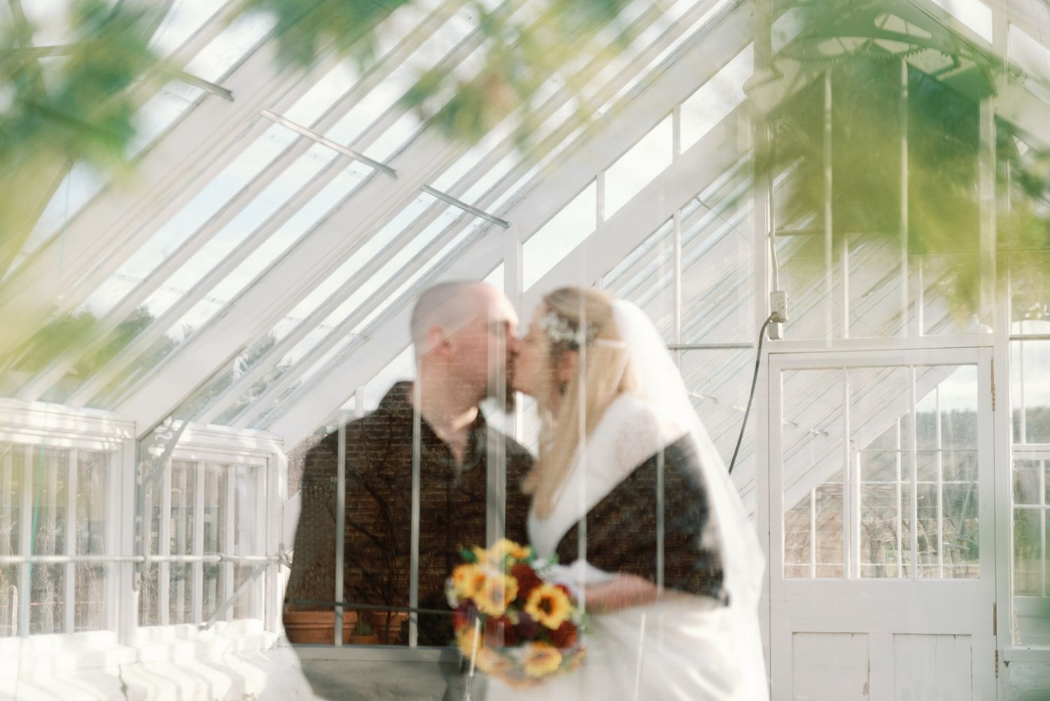 Sunlit greenhouse interior with diagonal glass panels creating geometric patterns.