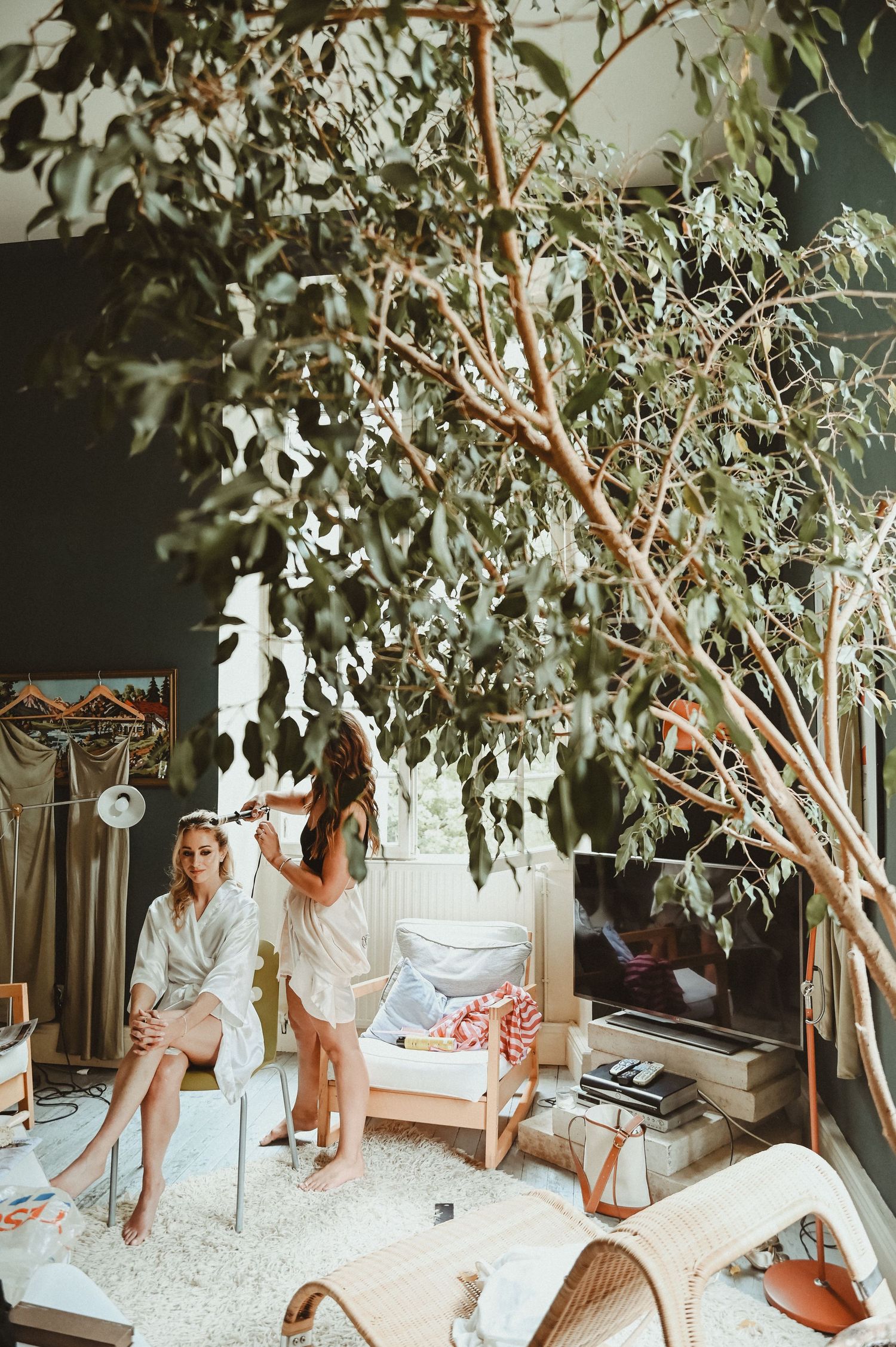 Wedding preparation scene with indoor eucalyptus tree and people in white robes.