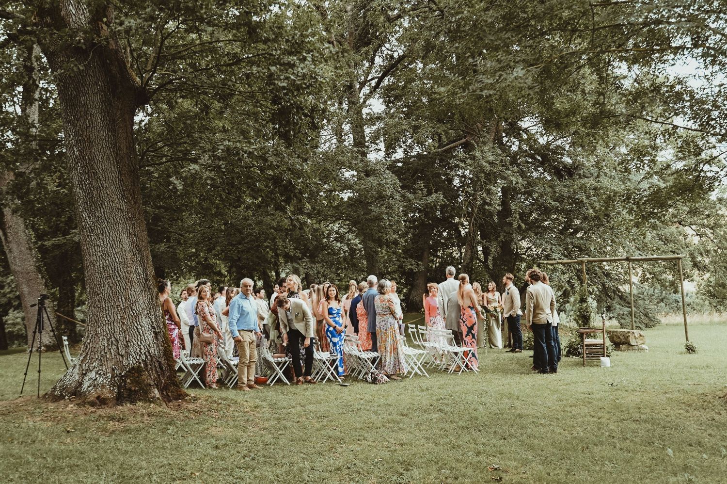 Wedding guests gather under large trees for an outdoor celebration.