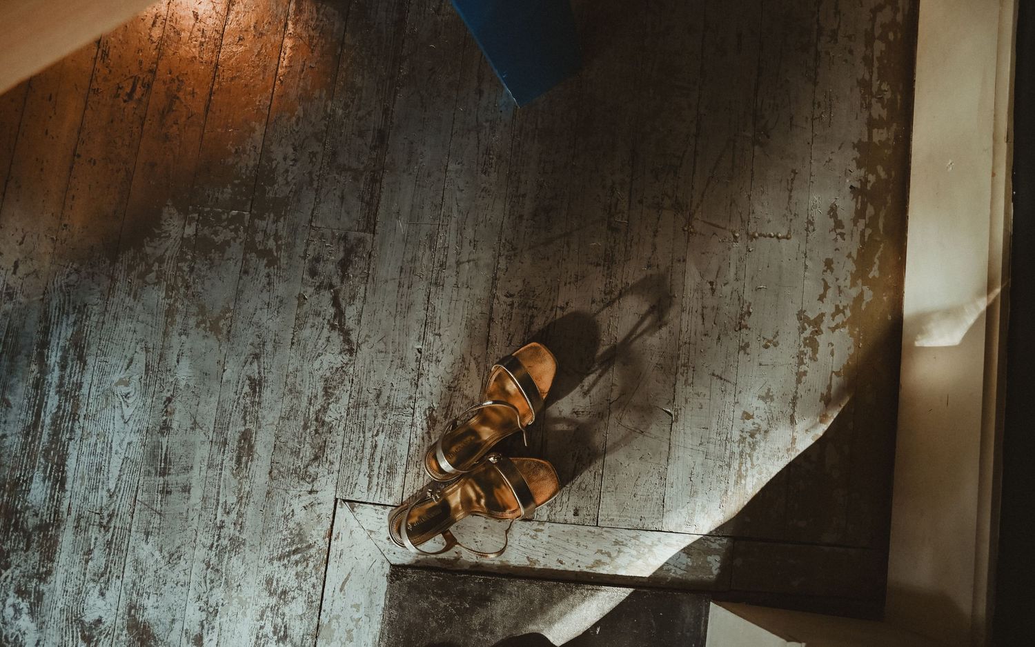 Close-up shot of a wasp or hornet on a weathered wooden surface.