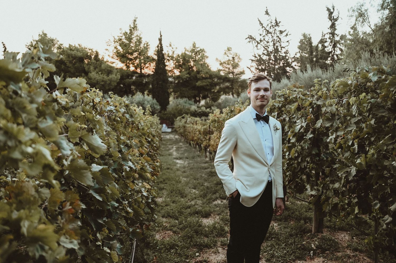 Stylishly dressed figure stands between rows of grapevines at sunset.