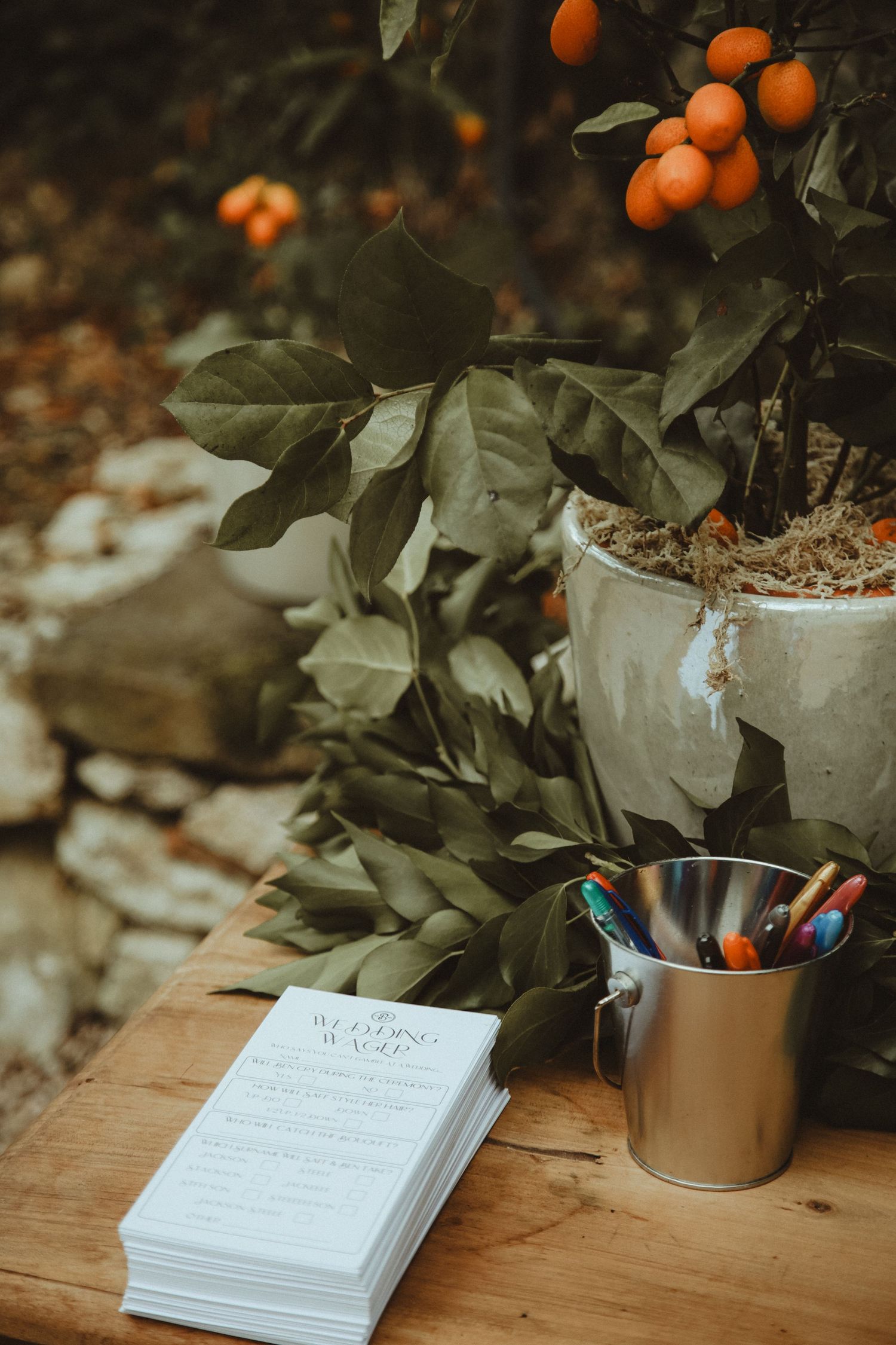 Orange citrus fruits and a notebook with colorful pens on a rustic wooden table beside a potted plant.