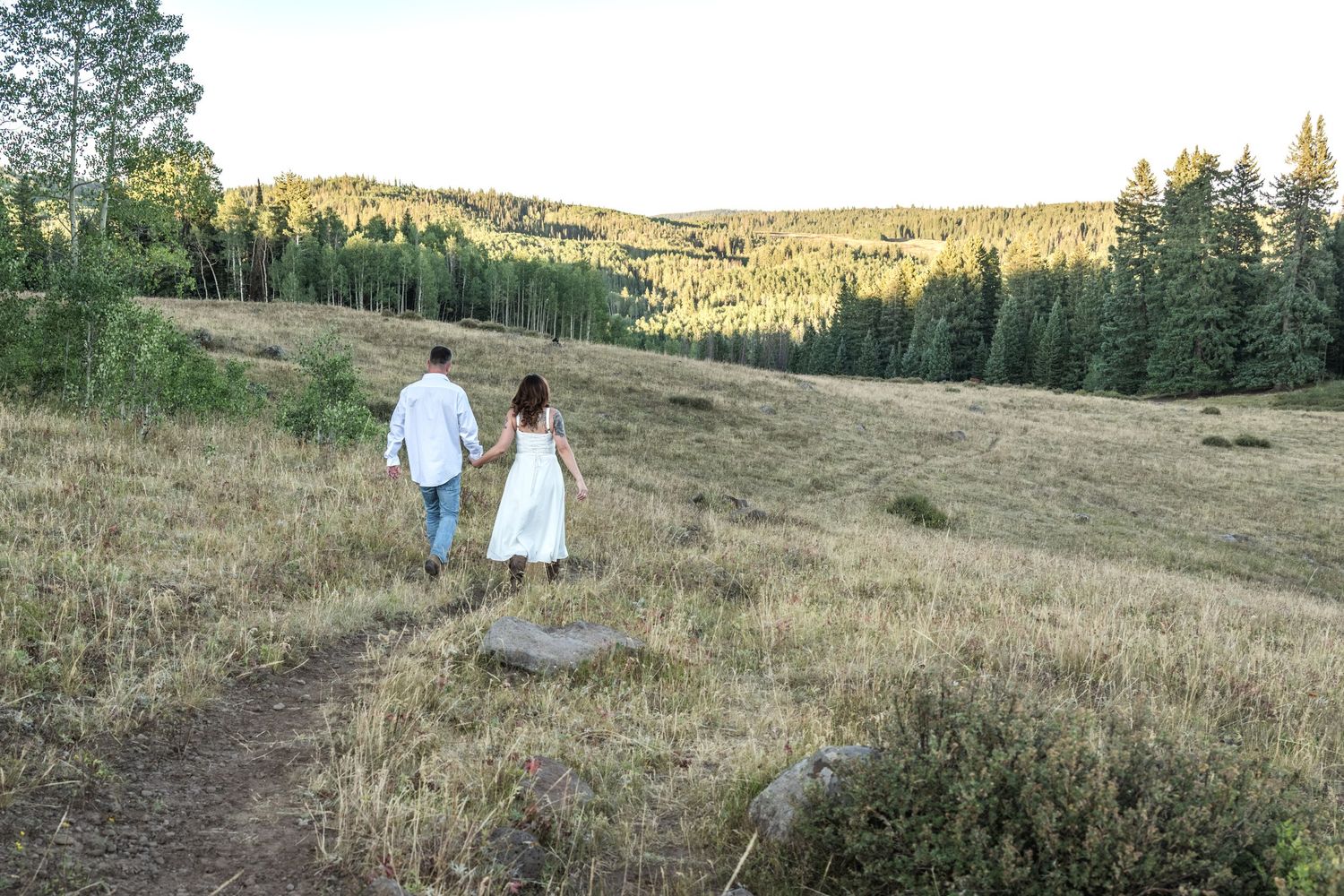 An eloping couple walk hand in hand on a trail at sunset in the mountains of Colorado surrounded by open meadows and pine trees.
