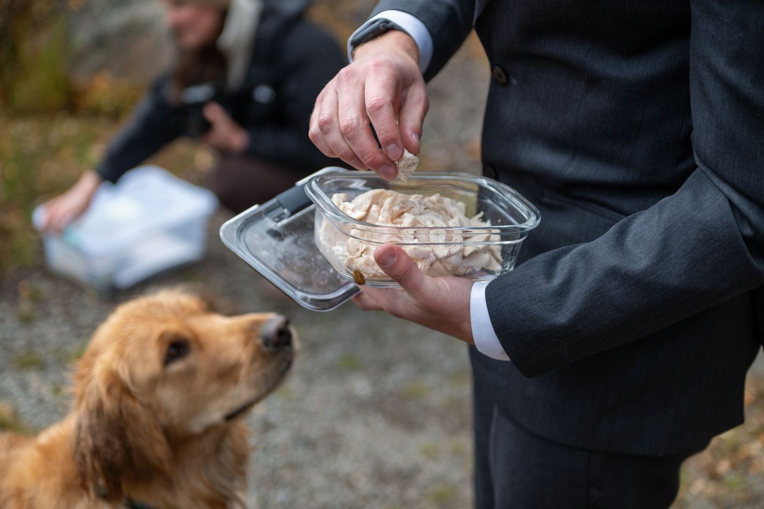 A golden retriever watches attentively as a groom  offers food from a plastic container outdoors during his elopement in Breckenridge.