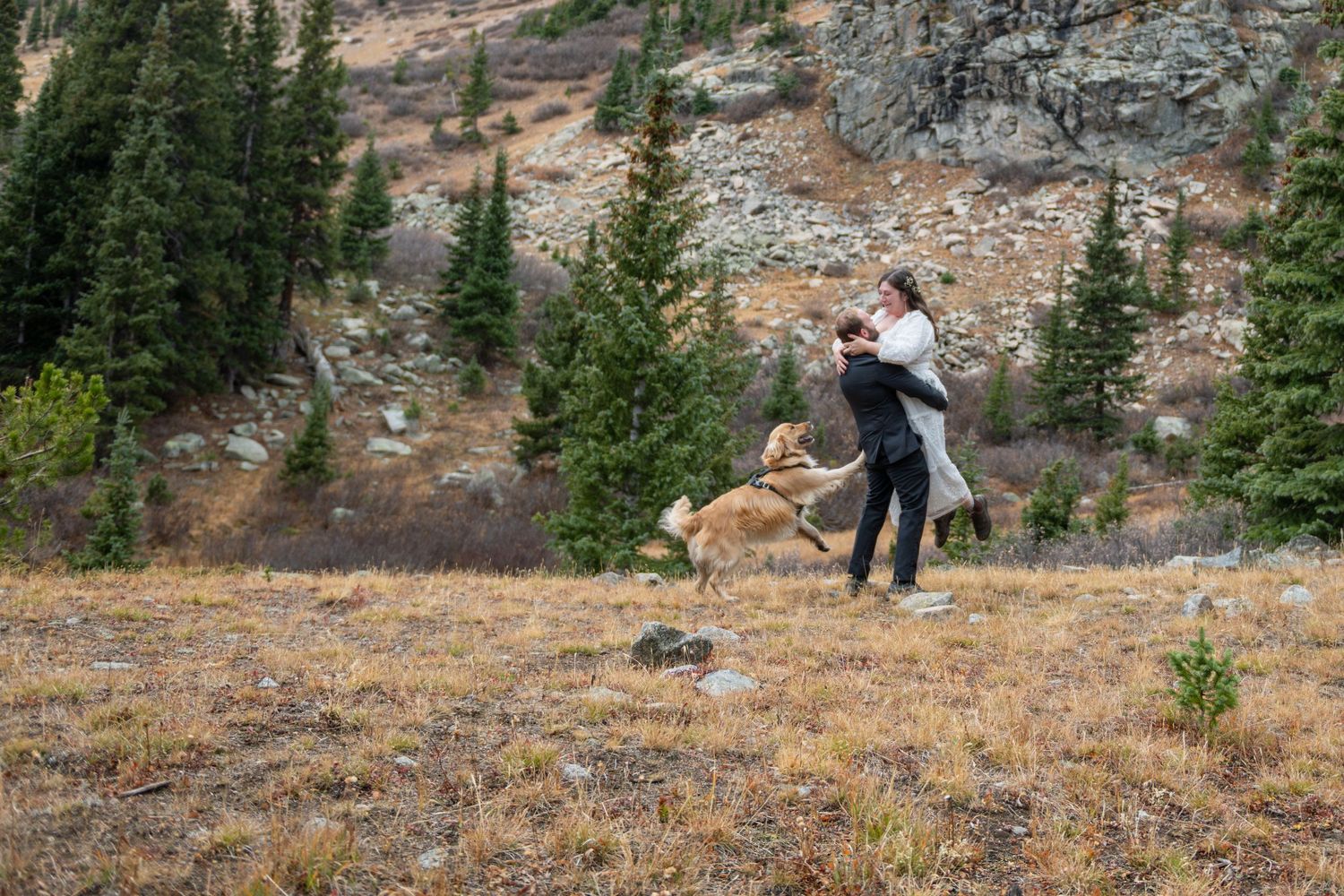 An eloping couple embracing outdoors with a golden dog on a mountain meadow surrounded by pine trees and rocky cliffs.