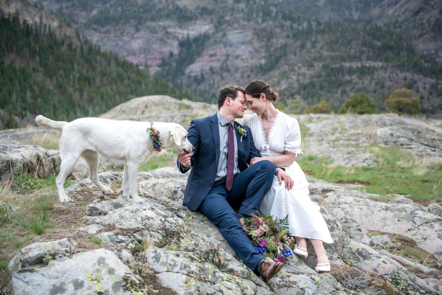An eloping couple shares a romantic moment with their dog on a scenic mountain overlook surrounded by evergreen forests and rocky cliffs.