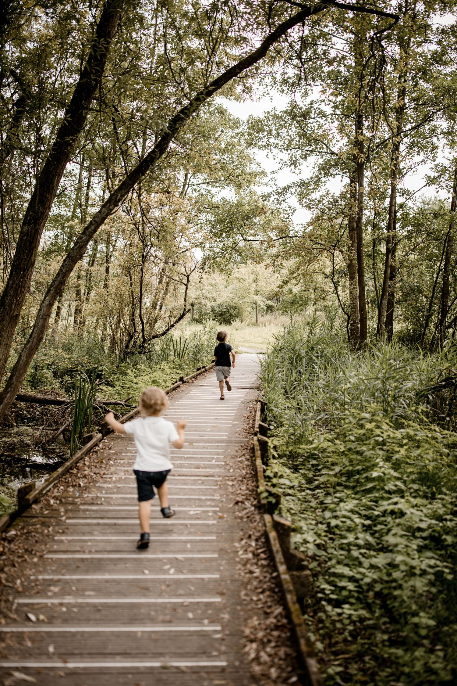 Deux enfants marchant sur un sentier en bois à travers une forêt luxuriante.