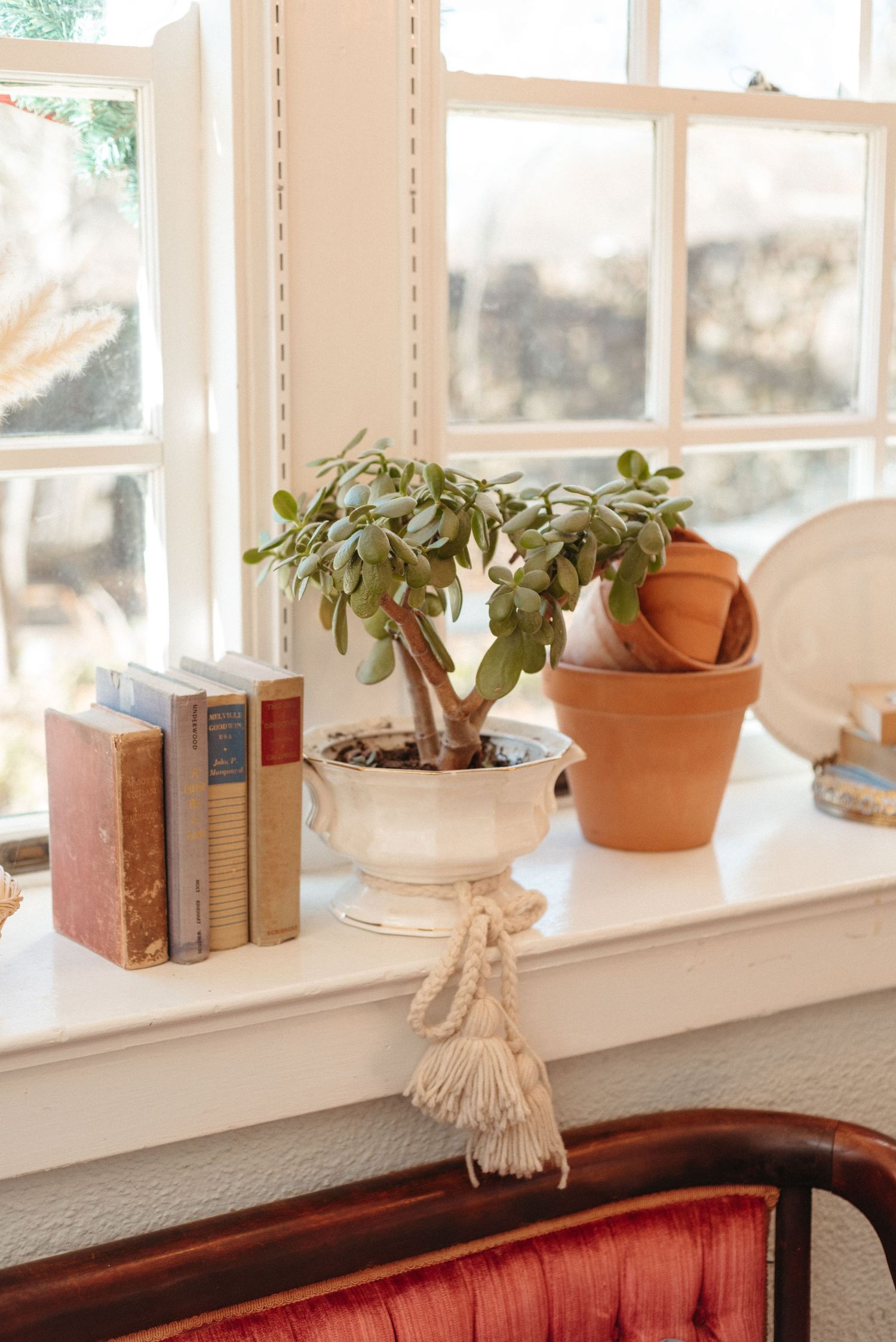 Sunny windowsill decorated with potted plants, vintage books, and natural decor elements.