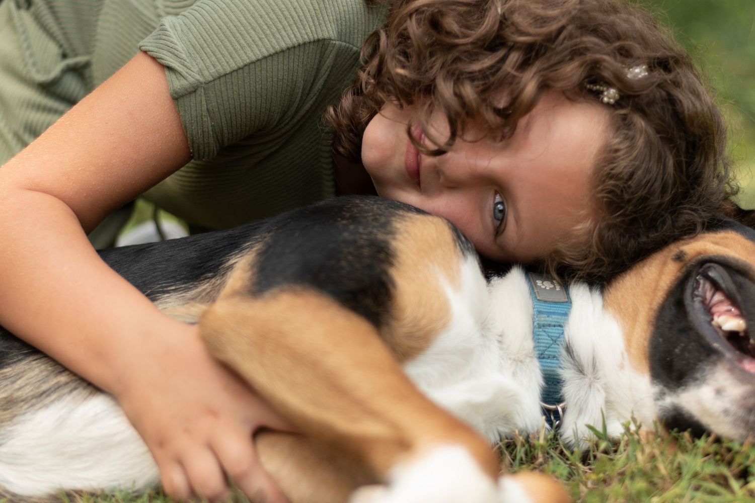 A person lying in the grass snuggling and playing with a tri-colored Bernese Mountain Dog outdoors.
