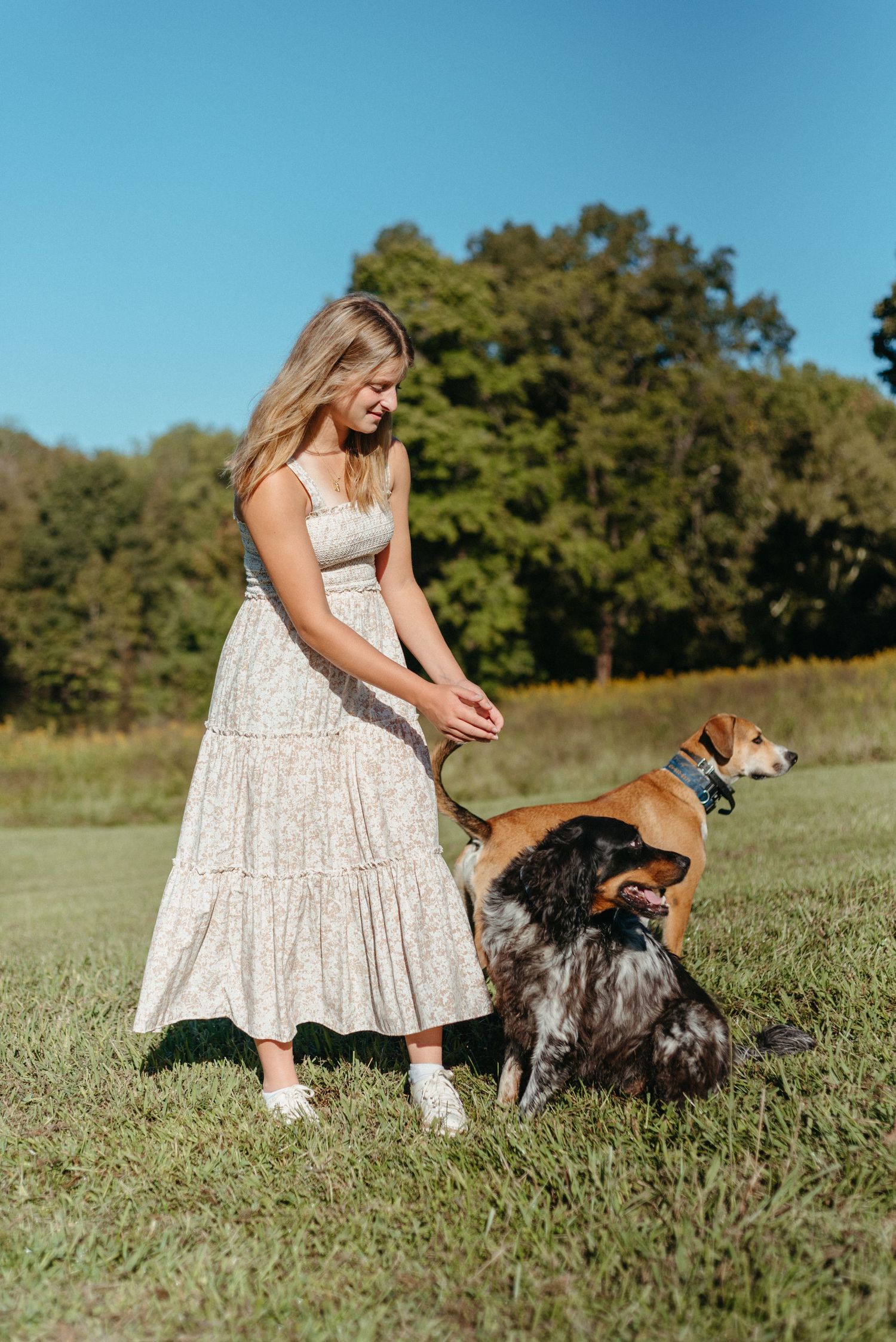 A person in a white dress stands with their dog in a sunny meadow.