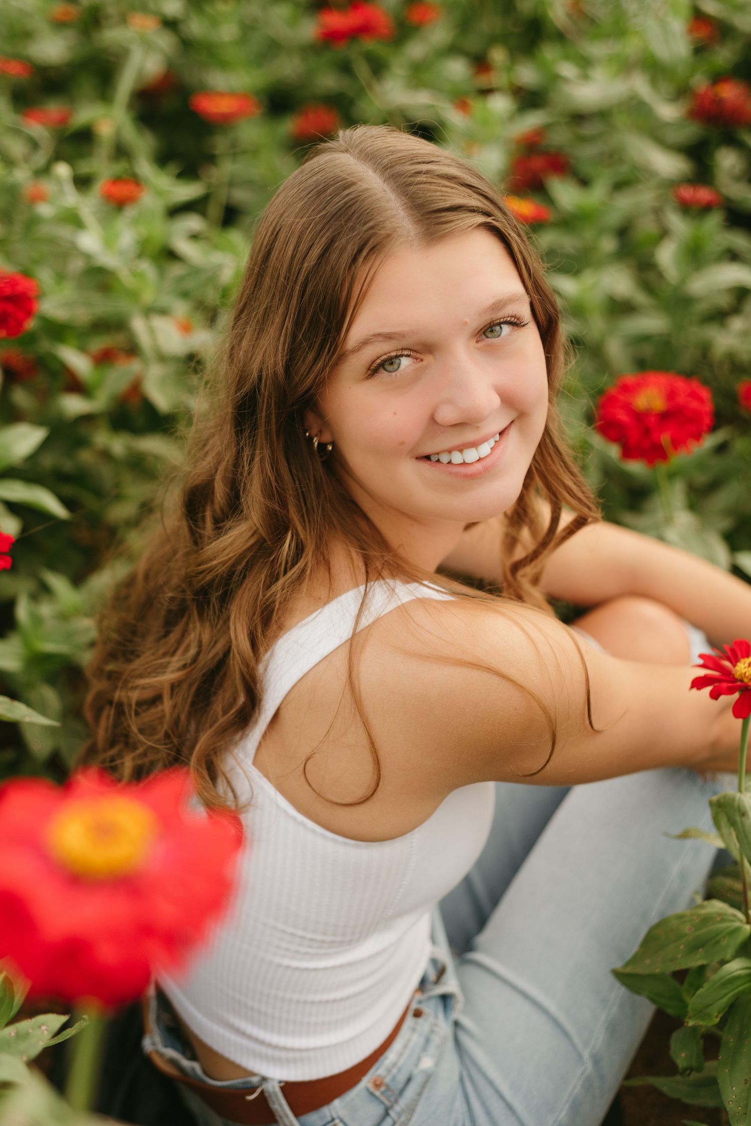 A summer garden scene with vibrant red zinnias in the foreground.