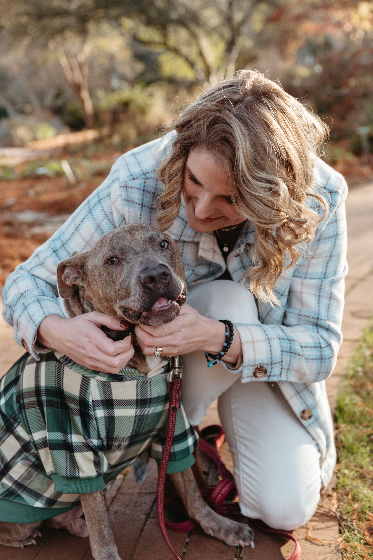 A person in a plaid shirt pets a happy gray dog wearing a plaid outfit in an autumn setting.