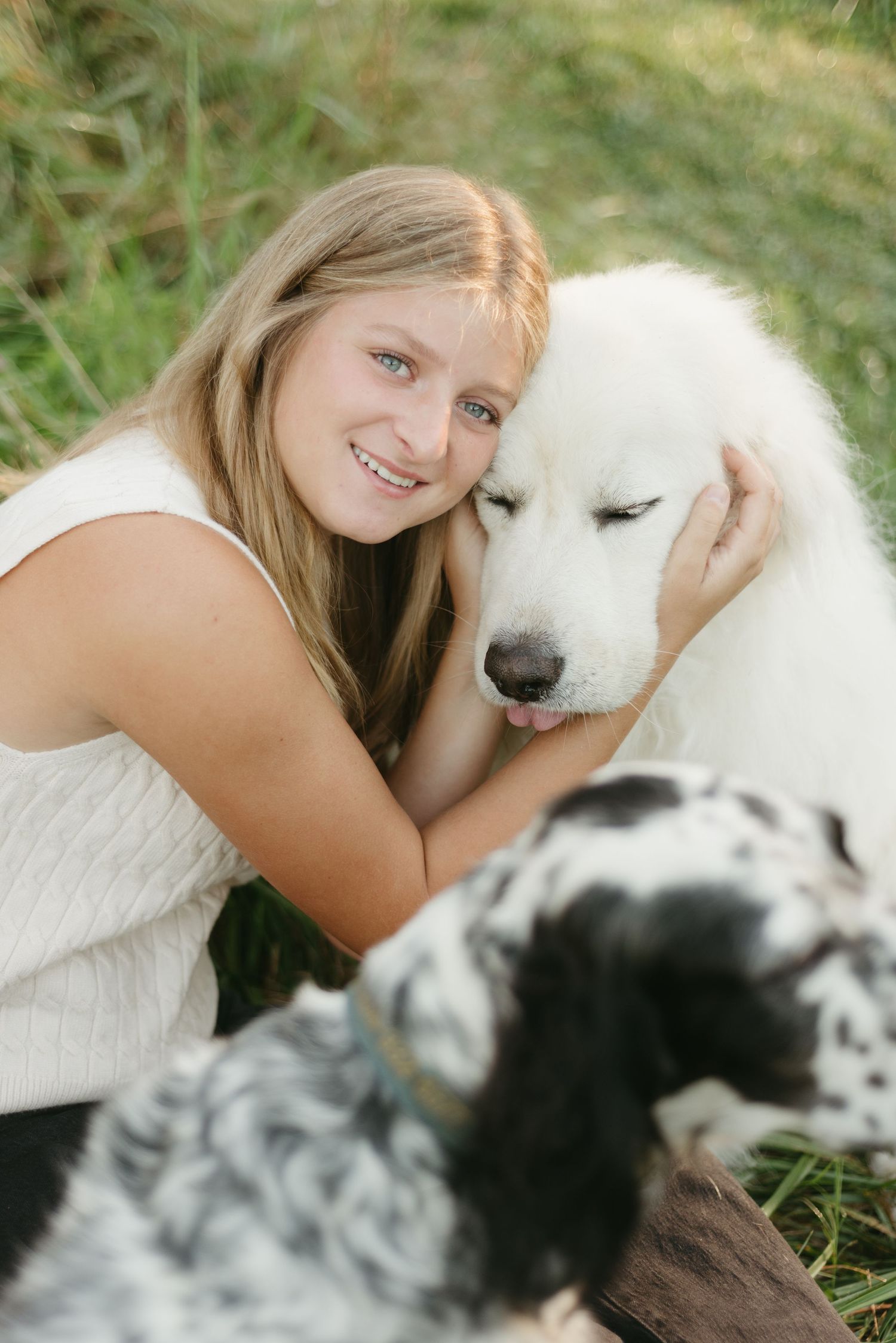 A fluffy white Great Pyrenees dog receives affectionate cuddles while lying in green grass.