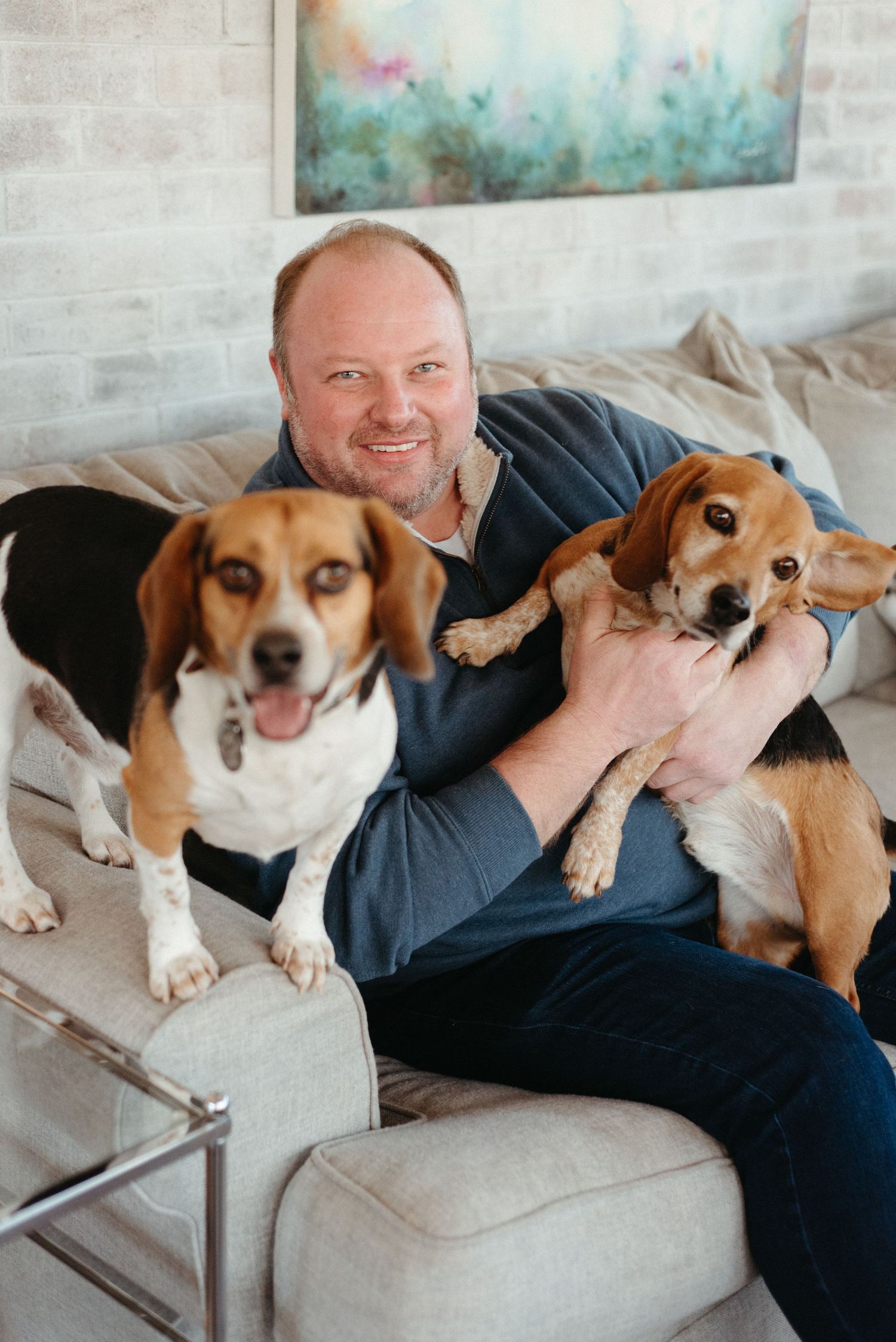Beagle dog lounging on a gray couch with companion in casual setting.