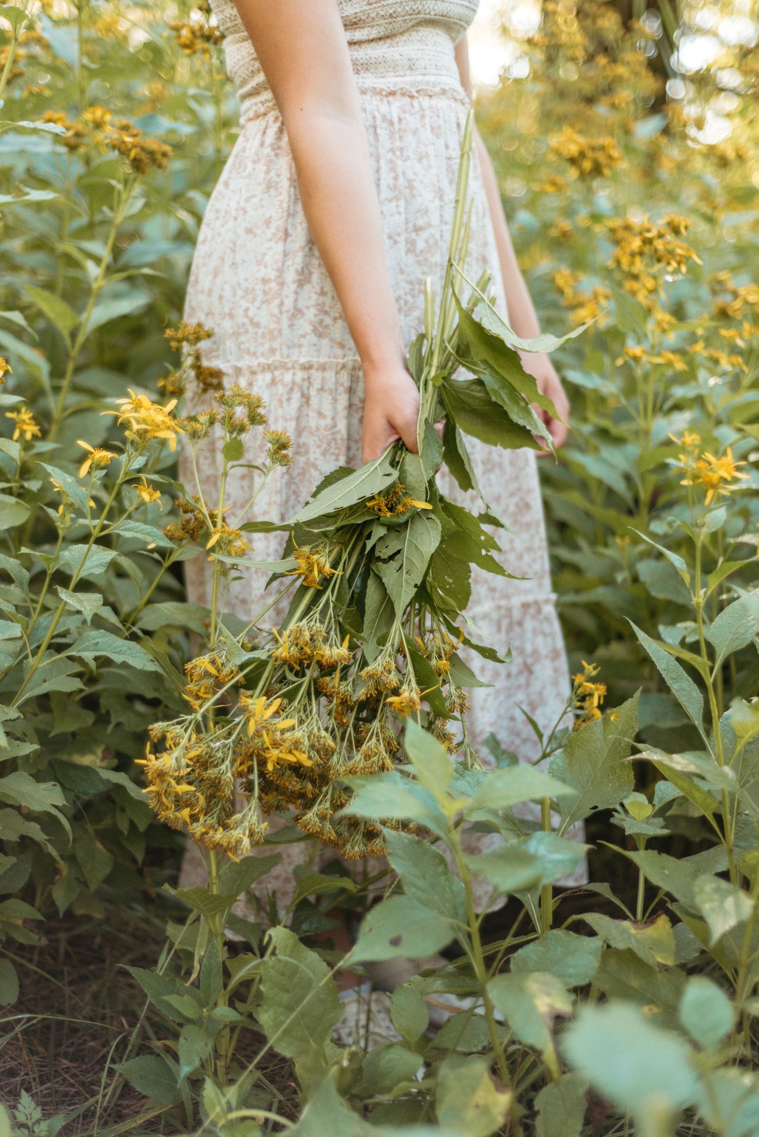 A hand holding fresh-picked yellow wildflowers against a white dress.