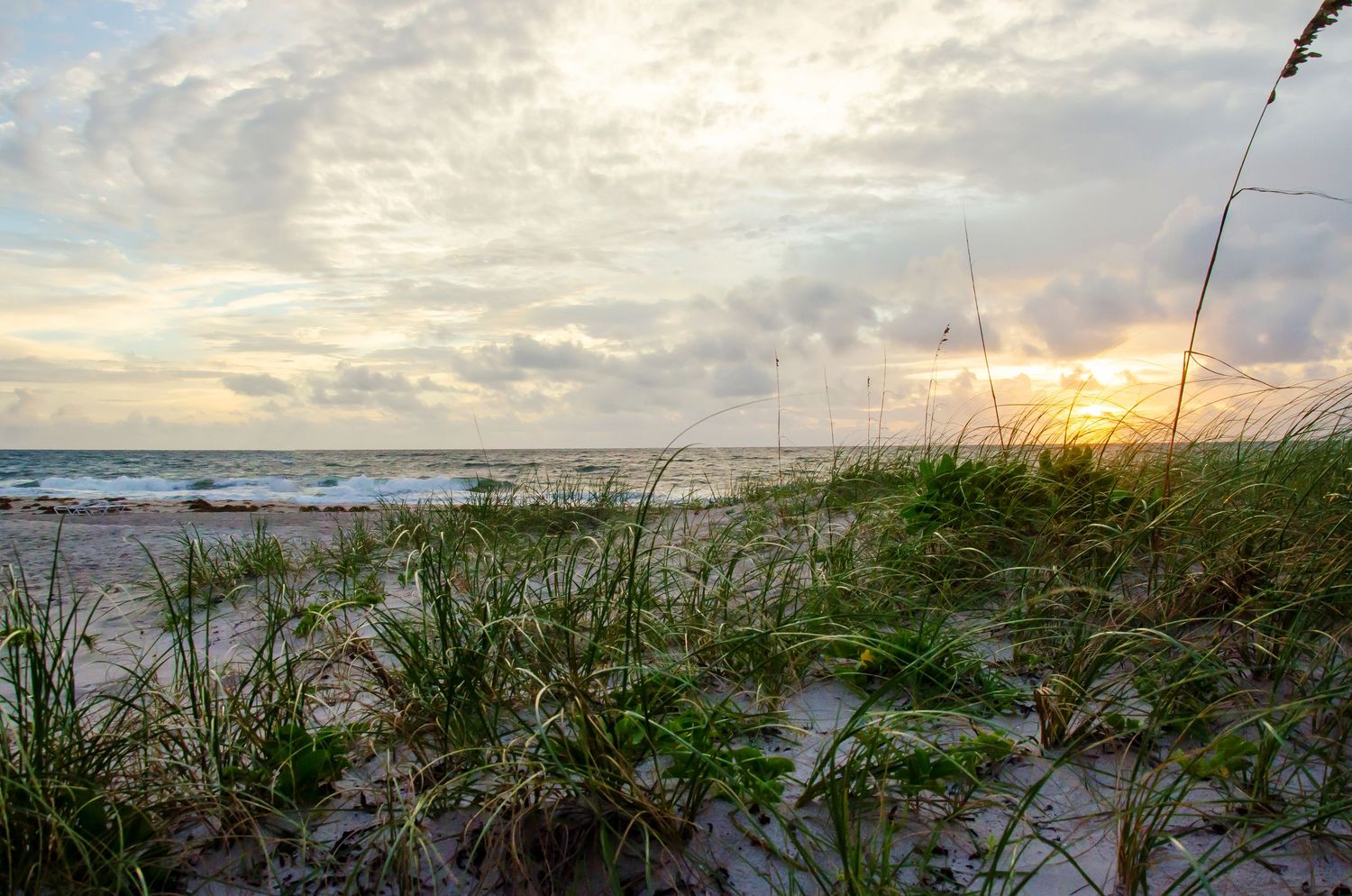 Sunset over beach dunes with green sea grass, gentle waves, and dramatic cloudy sky in warm golden light.